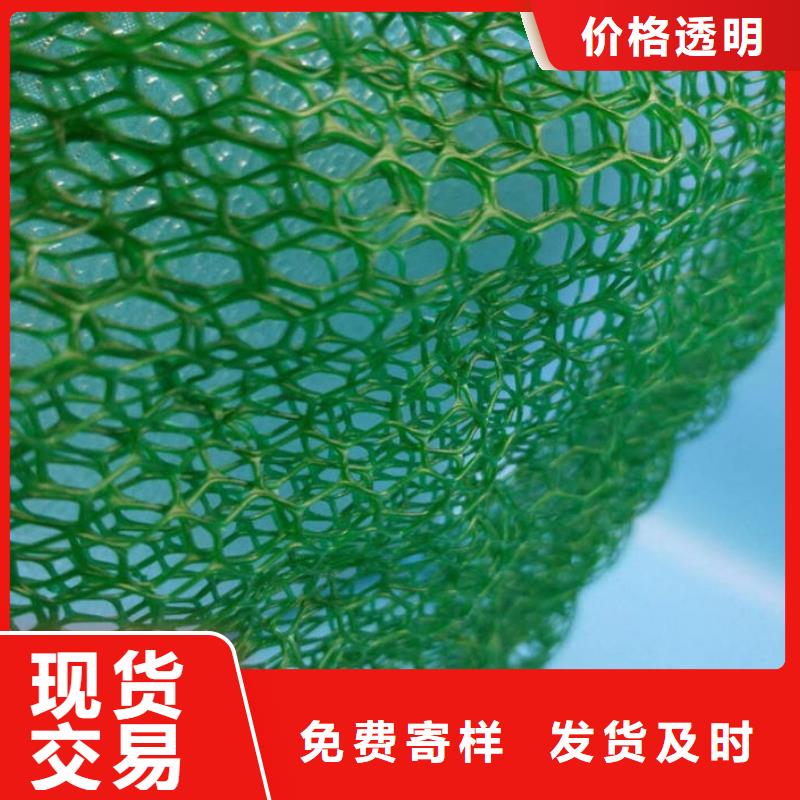 三维植被网生产厂家-2025年新价格行情N年专注