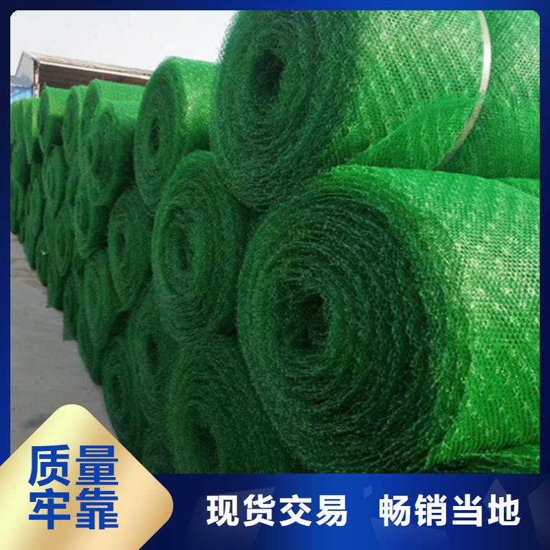 三维植被网,玻璃纤维土工格栅源头工厂量大优惠质检严格