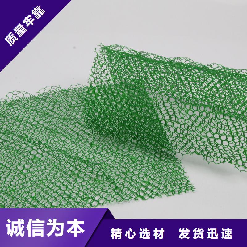 【三维植被网】软式透水管批发商有口皆碑