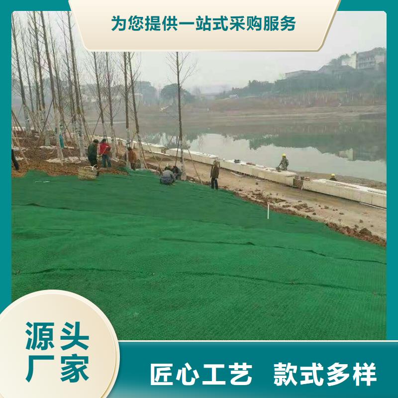【三维植被网_硬式透水管物美价优】一站式采购