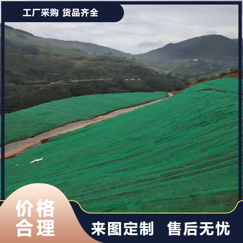 三维植被网三维植被网厂家品质优选拒绝中间商