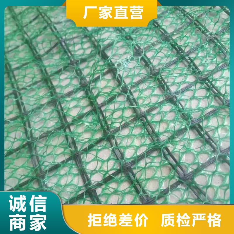 三维植草网——三维植被网批发厂家_欢迎咨询详细参数