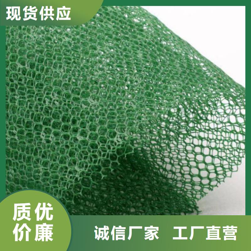 三维植被网_土工布价格当地厂家值得信赖生产经验丰富