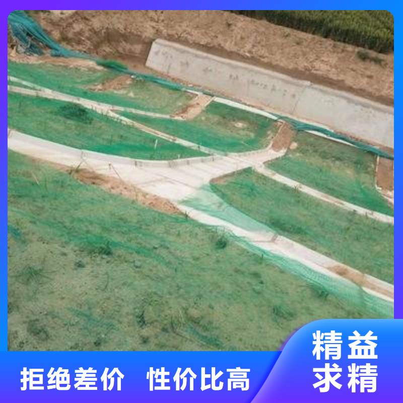 山东三维植被网_高性价比三维植被网_选择亿路通新材料厂家实力雄厚