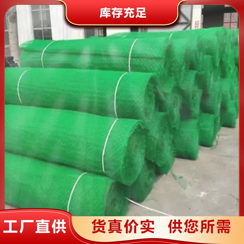三维植被网聚丙烯双拉土工格栅批发价格实体诚信厂家