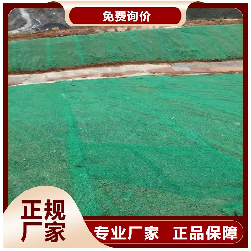 三维植被网护坡价格——批发厂家当地货源