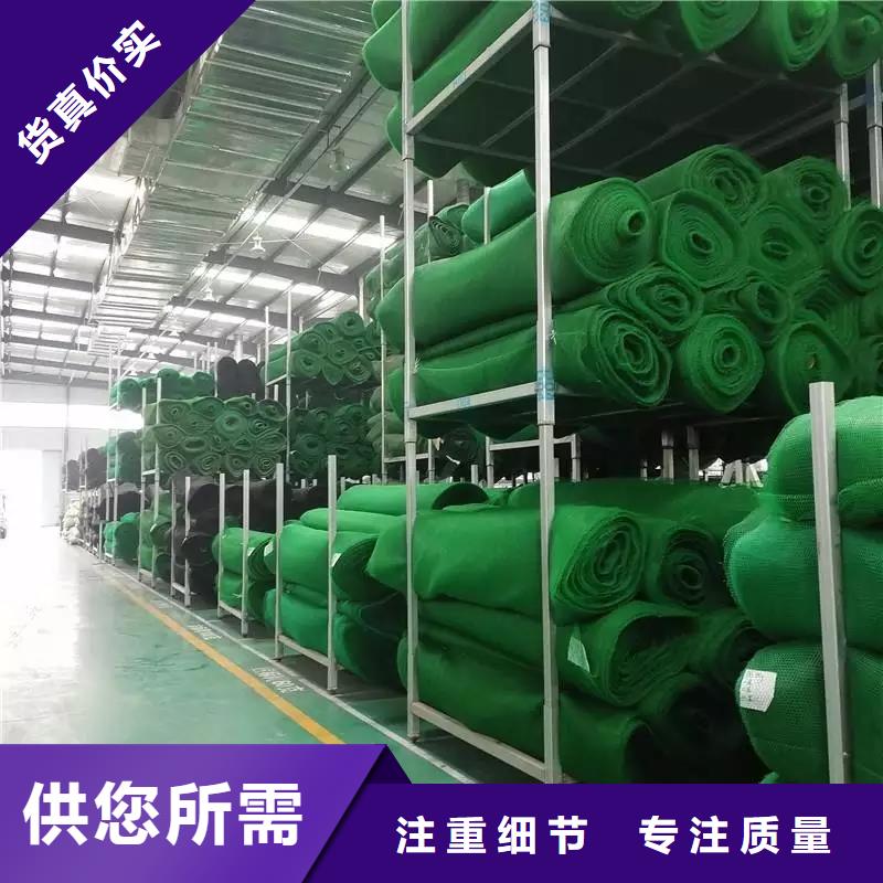 三维植被网土工席垫常年出售放心购