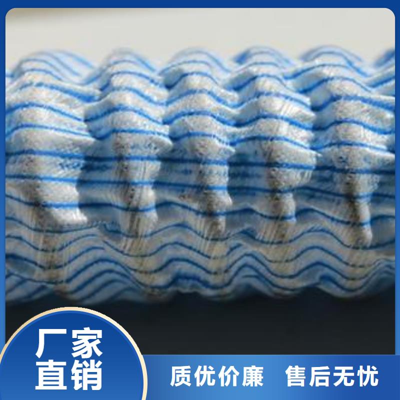 软式透水管HDPE土工膜品质之选实体诚信厂家
