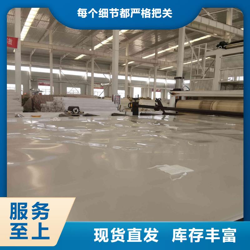 【EVA防水板钢塑土工格栅厂家经验丰富质量放心】实体厂家大量现货