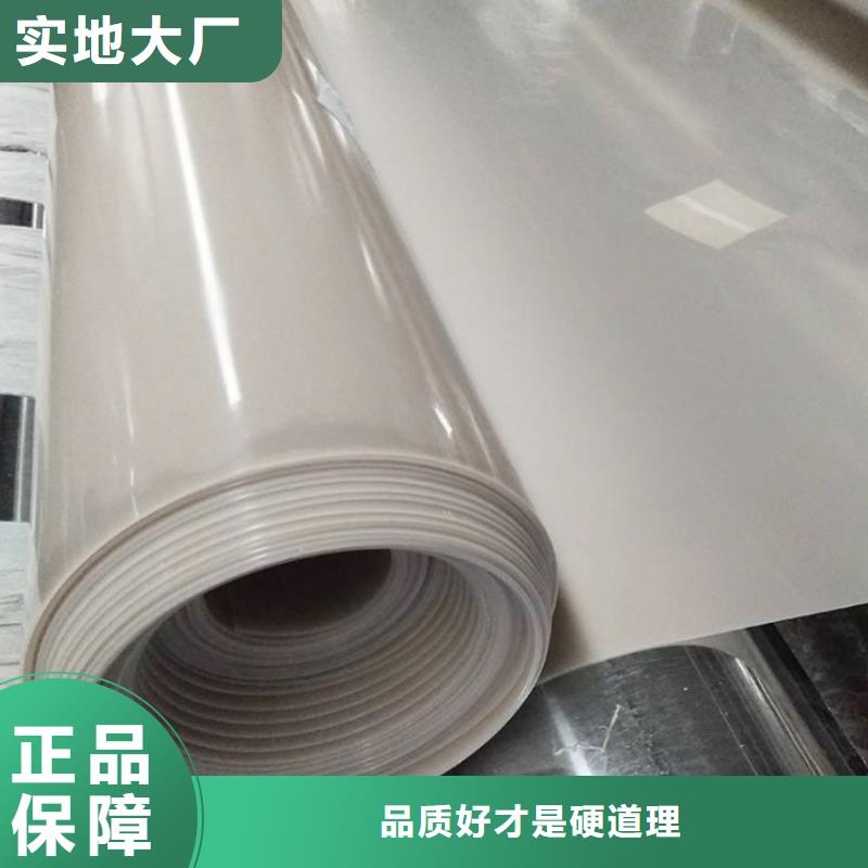 EVA防水板【单向塑料土工格栅】匠心打造大量现货供应