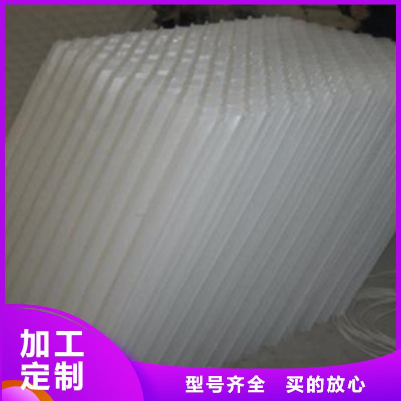 斜管填料_泡沫颗粒真诚合作同城公司