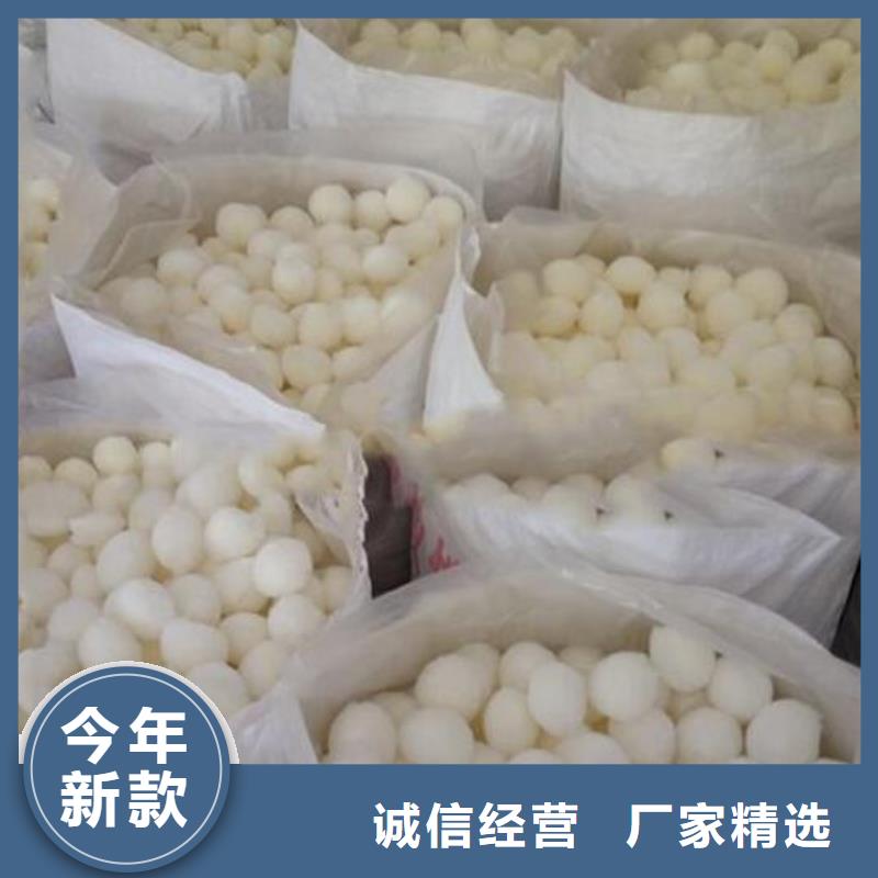 纤维球-生物陶粒滤料客户满意度高实力公司