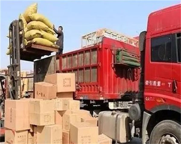 乐从沙边到贵州省遵义市桐梓县货运部专线（天天发车）
