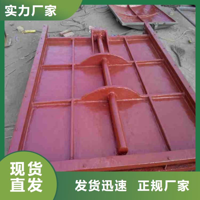 扇形闸门工厂直销当地生产厂家
