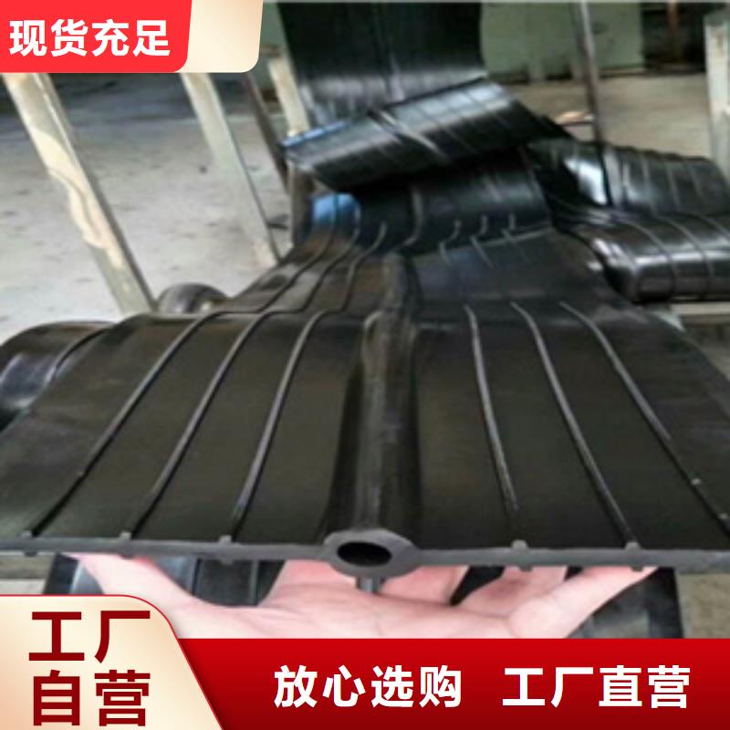 钢边橡胶止水带厂家价格箱涵沉降缝用本地供应商