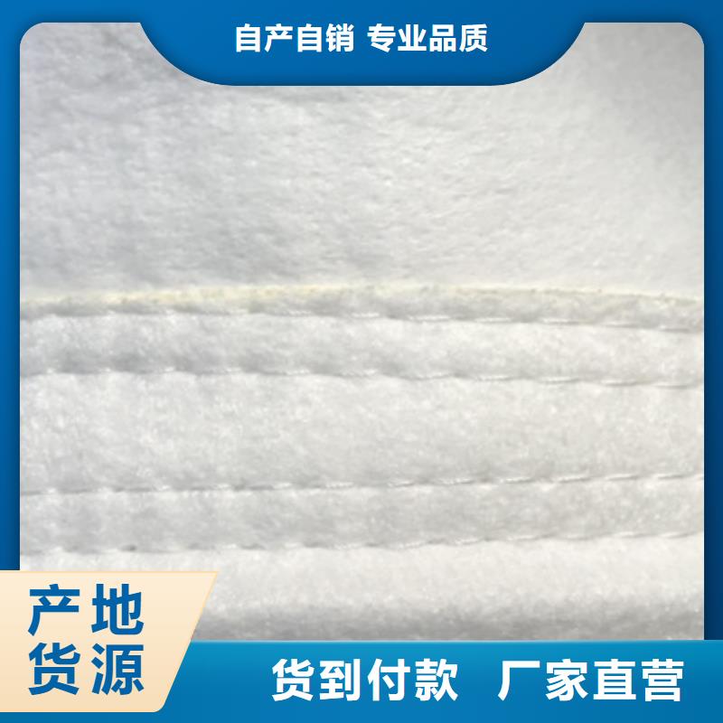 除尘器布袋骨架锅炉滤袋厂家市场行情