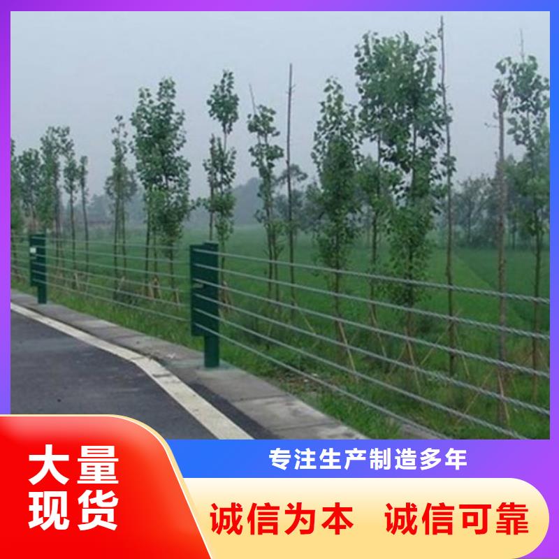 钢丝绳索护栏哪家强支持定制加工