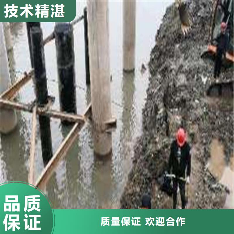 蛙人服务公司性价比高2025排名解决方案
