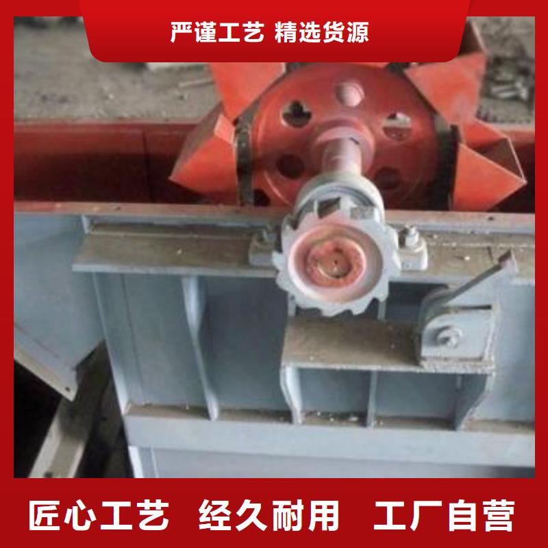 TD200斗式机安装万宁市当地生产商