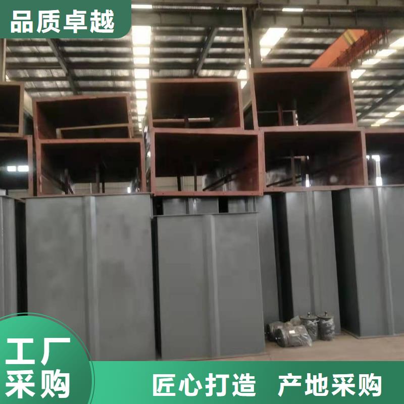 NE100链板斗式机承接本地生产商