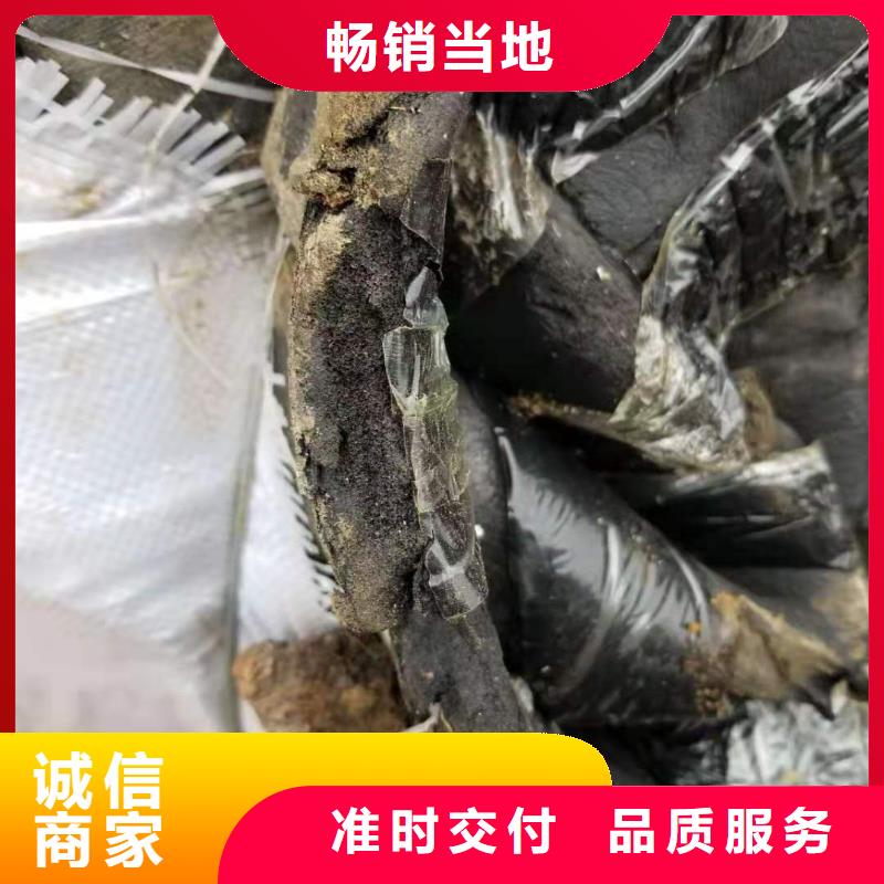 处理蘑菇渣焚烧价格性能稳定