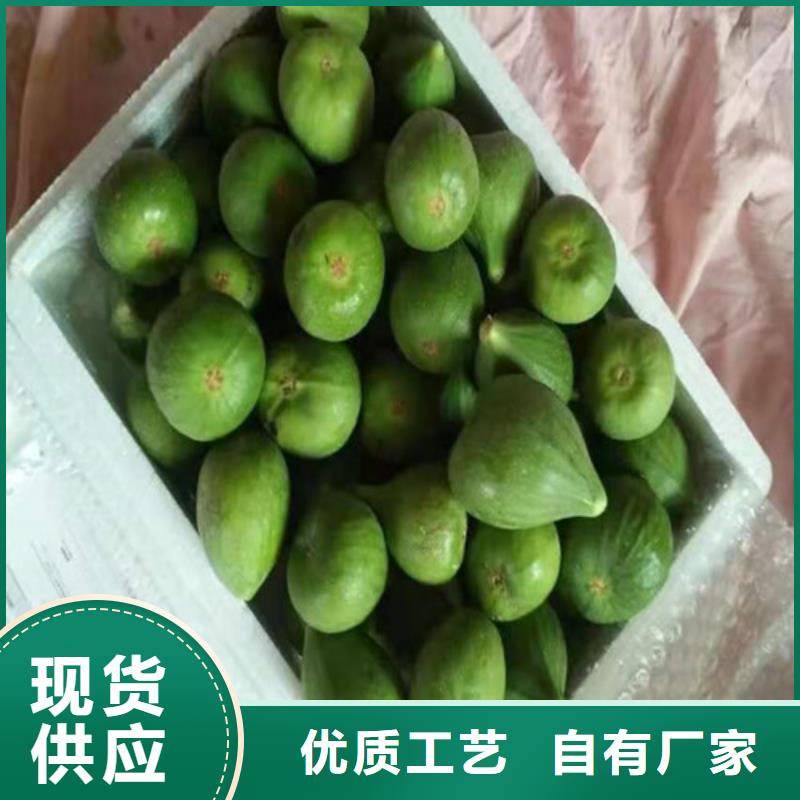 【无花果软枣猕猴桃苗用好材做好产品】当地品牌
