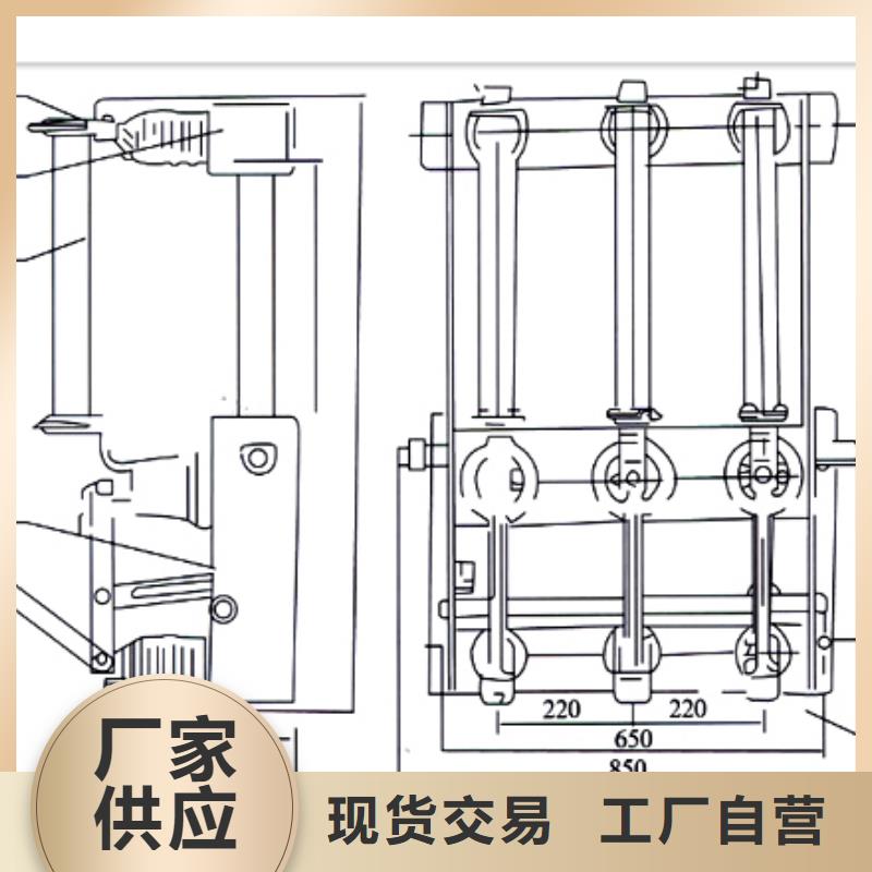 负荷开关-【跌落式熔断器】匠心品质本地品牌
