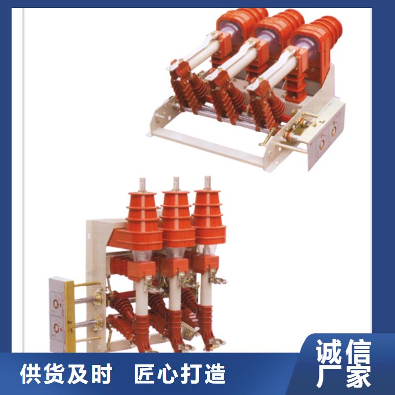 FZN21-12/125-31.5负荷开关严选好货