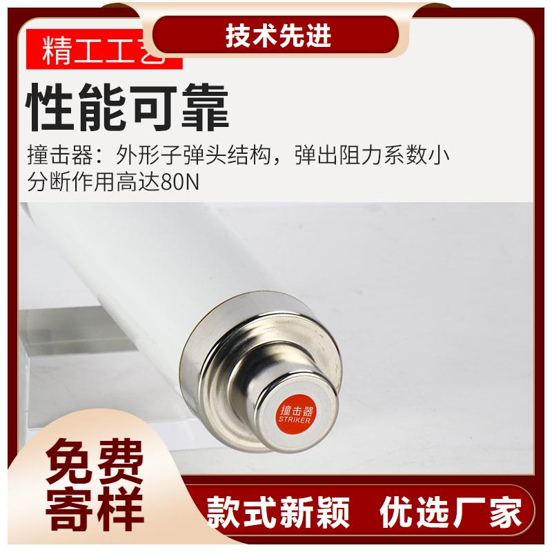 XRNP-12KV/2A变压器用熔断器本地配送