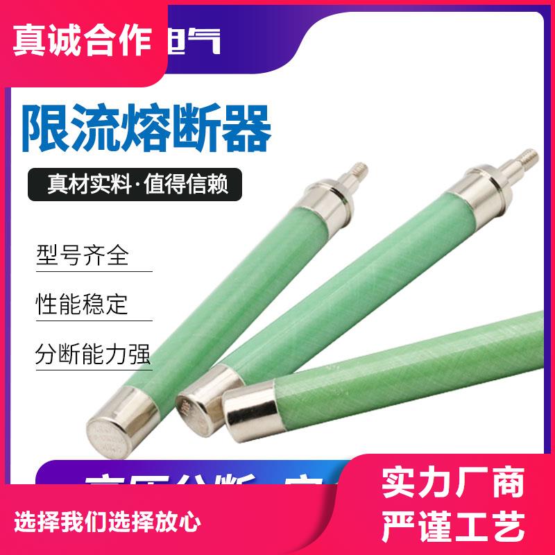 XRNT1-24/100A高压限流熔断器本地供应商