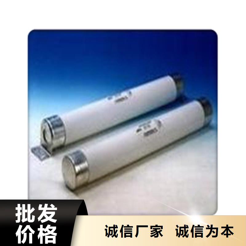 XRNP1-40.5/0.5A变压器用熔断器源厂直销