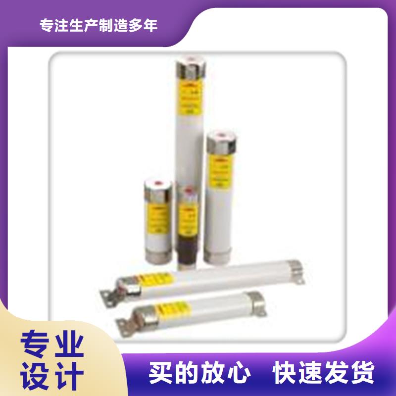 【限流熔断器氧化锌避雷器N年大品牌】本地公司