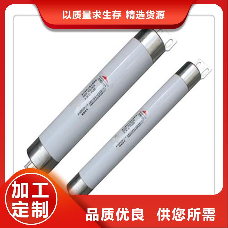 WFNHO-12/50A高压熔断器诚信经营质量保证