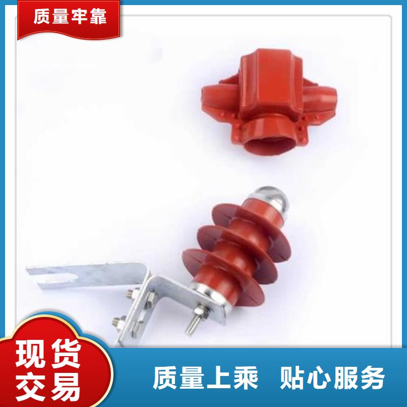 避雷器真空断路器客户信赖的厂家一致好评产品