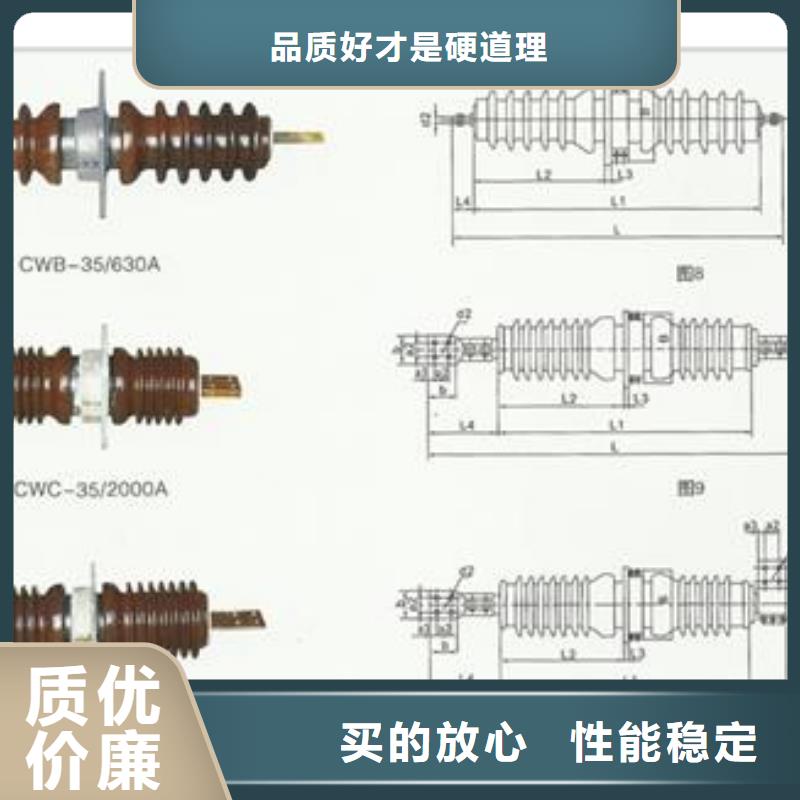 FCGW-40.5/3150A高压套管多年行业积累
