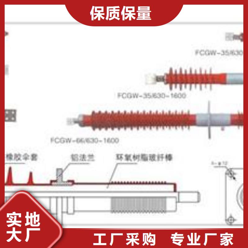 CWW-35/3000高压穿墙套管同城品牌