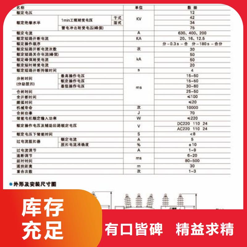 LW3-12IG/1000-20六氟化硫断路器匠心工艺