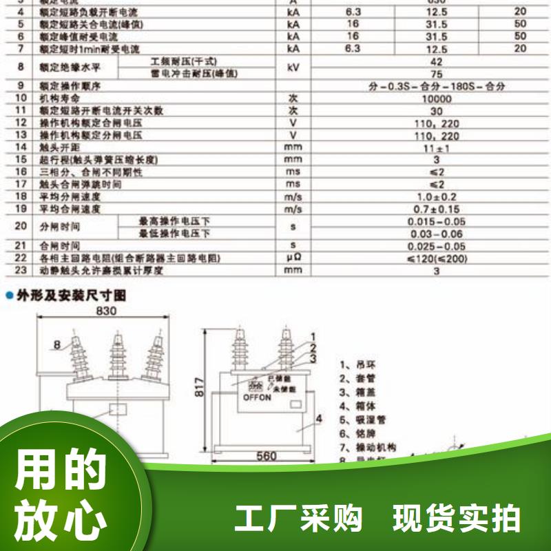 LW3-10G/630-20六氟化硫断路器同城厂家