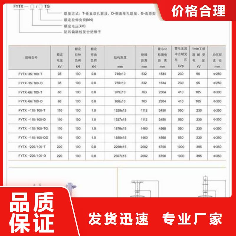 ZJ-10Q75*130高压绝缘子应用范围广泛
