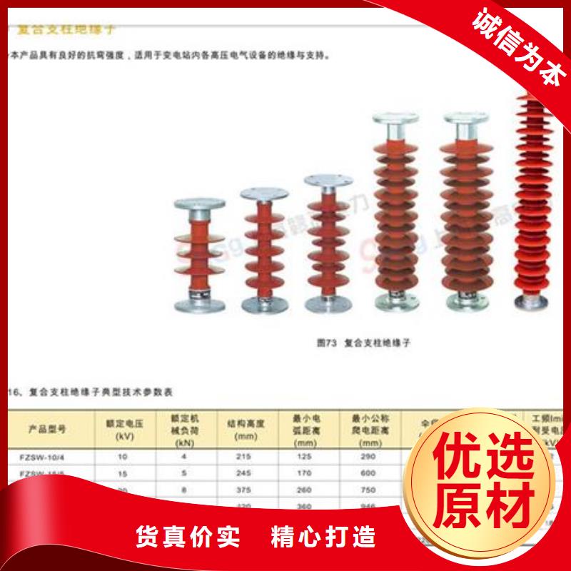 ZN-35KV/145*380环氧树脂绝缘子当地制造商