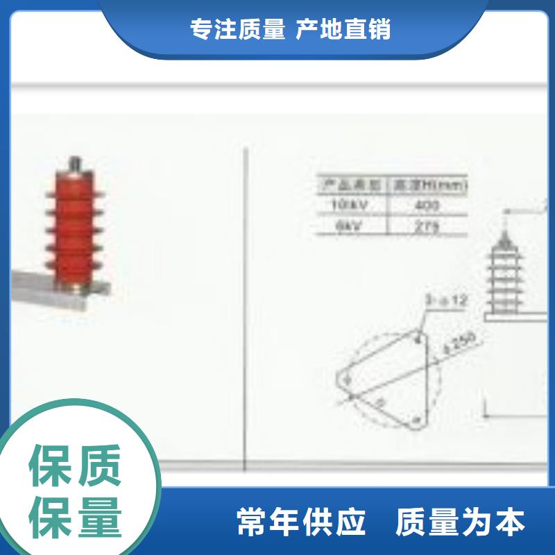 过电压保护器氧化锌避雷器极速发货当地品牌