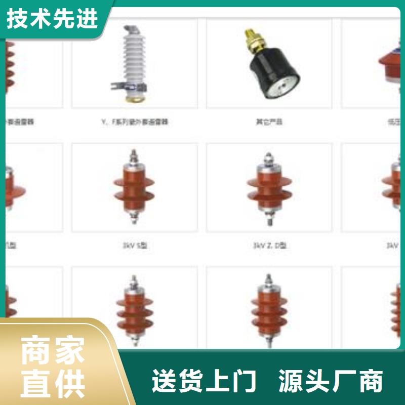 【过电压保护器】氧化锌避雷器快速生产闪电发货