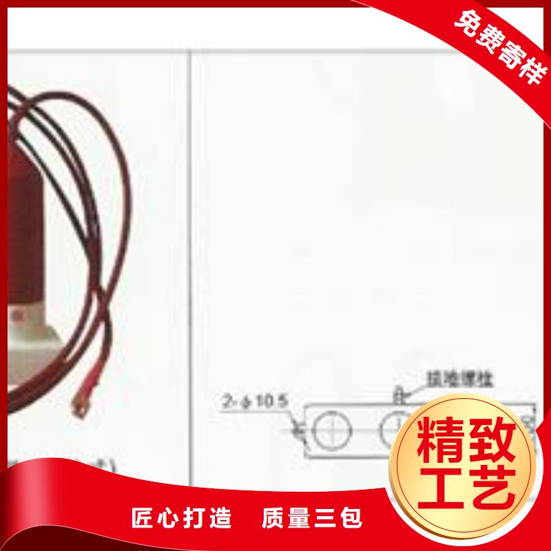 过电压保护器真空断路器生产厂家高性价比工厂价格