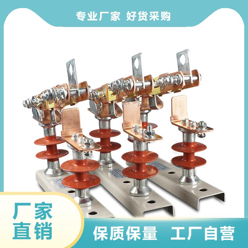 GWR1-0.5/800低压隔离刀闸同城品牌