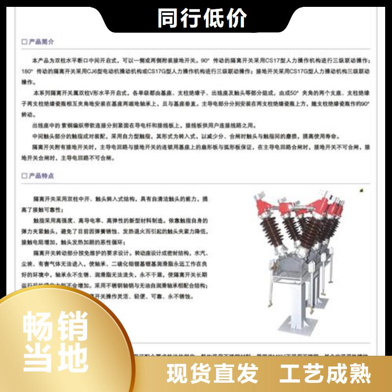 GWR2-0.5/1000低压隔离刀闸当地生产厂家