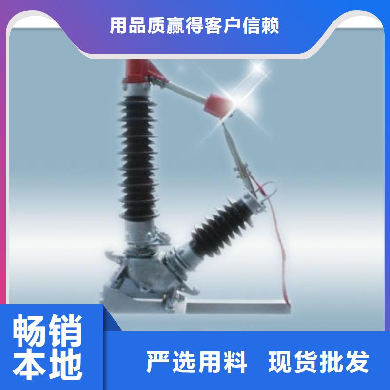 DCD-12/600N户外隔离开关选择我们选择放心