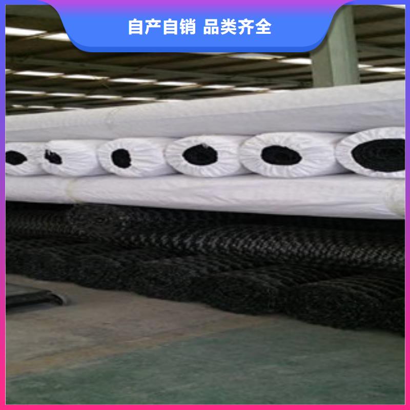 双向塑料格栅塑料土工格栅品质优选当地公司