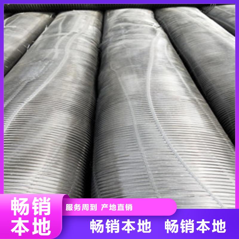 单向塑料格栅_高强度土工网产品细节本地制造商