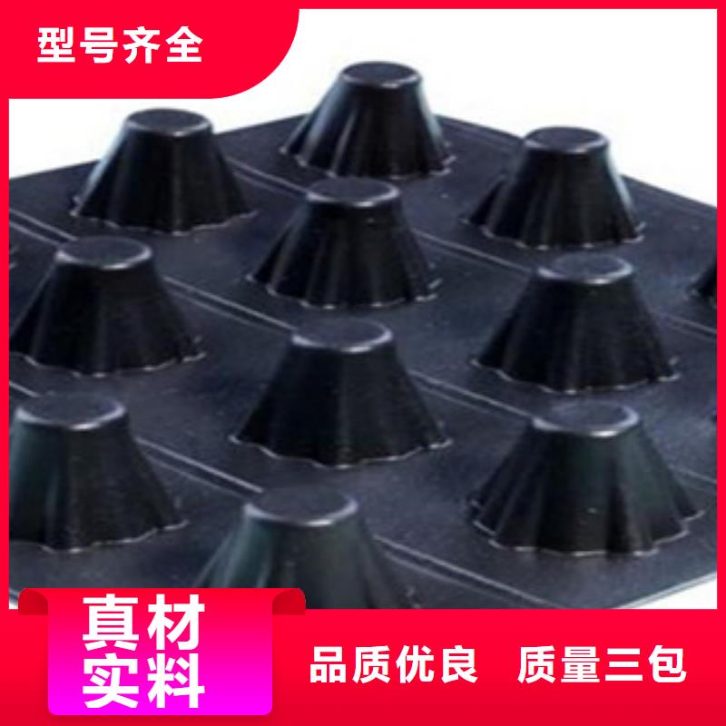 塑料排水板高强度土工网高品质诚信厂家同城厂家
