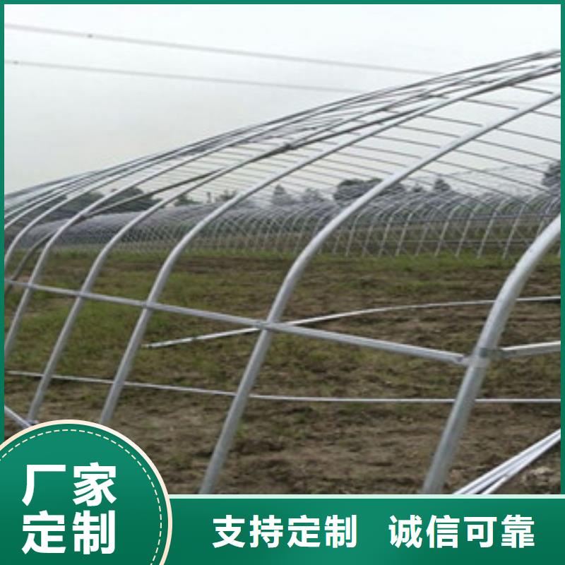 大棚管-冷拔钢管专注生产N年本地生产商